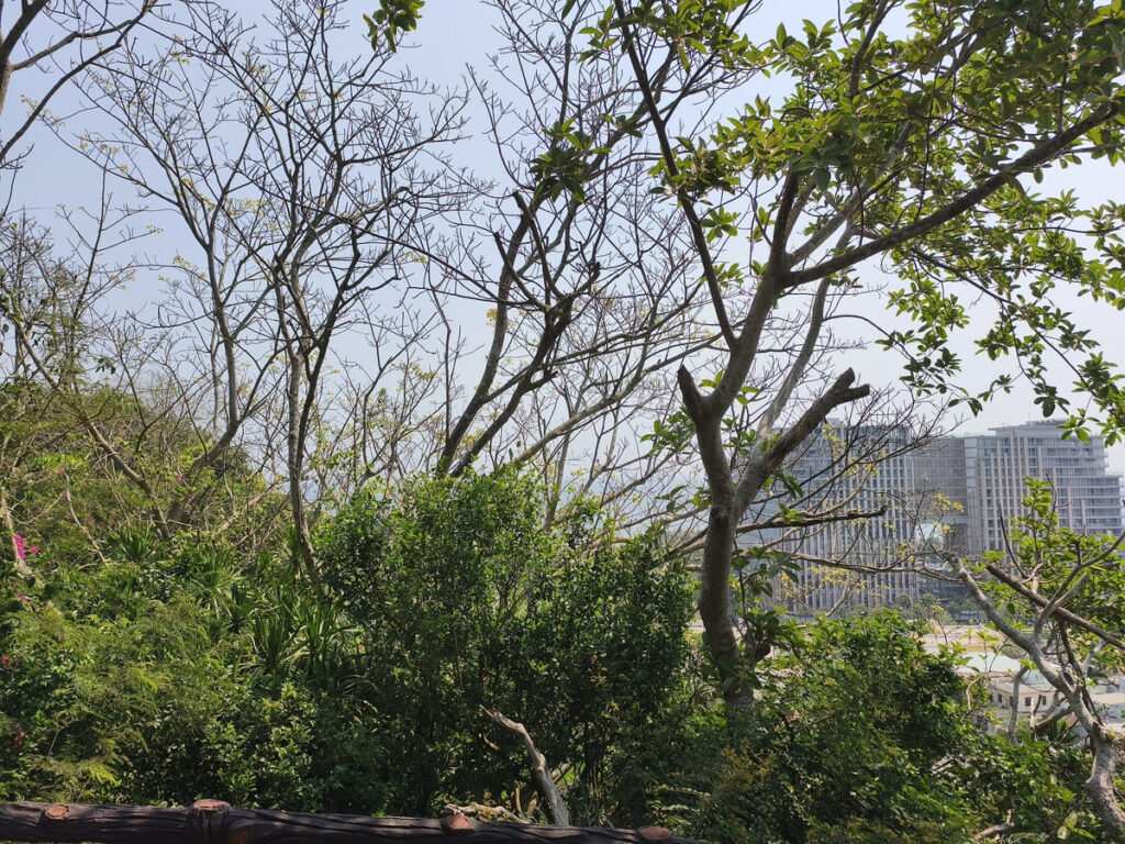 View Point View