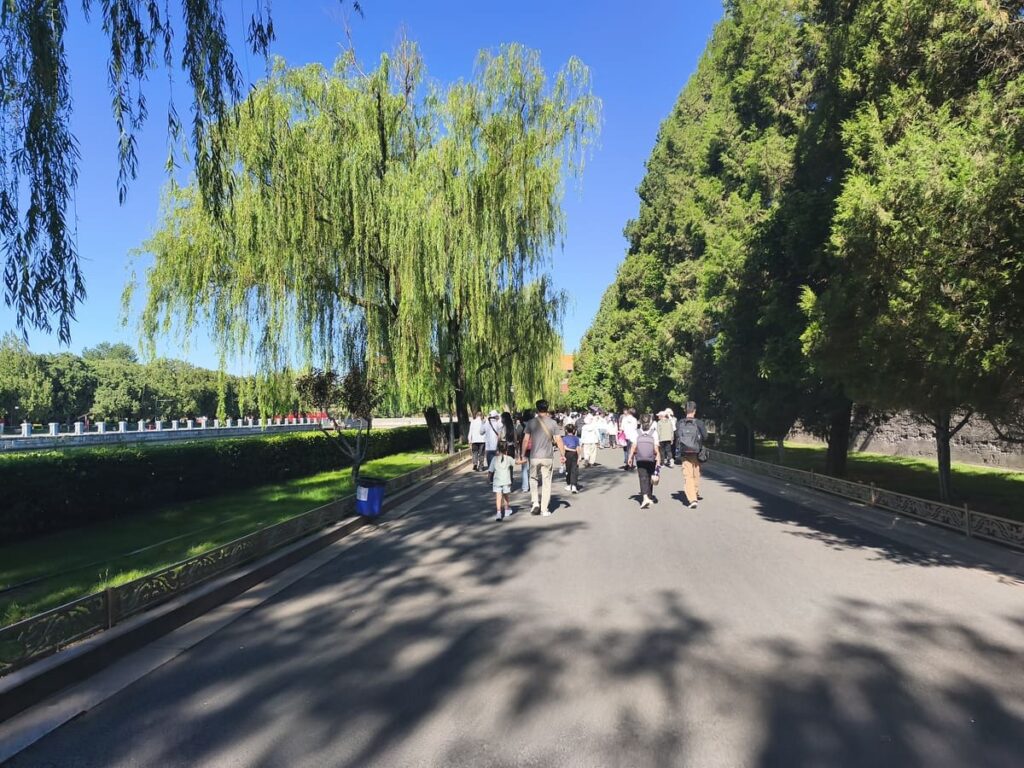 Wide street lined with trees and moat