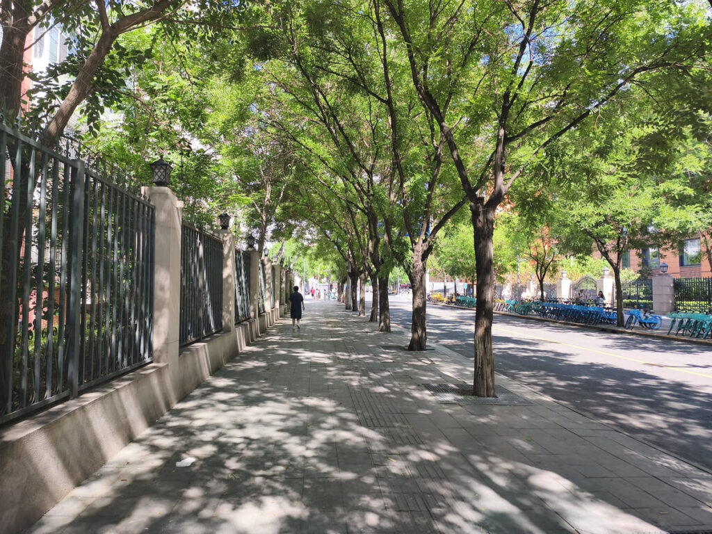 Wide sidewalk with trees in Beijing