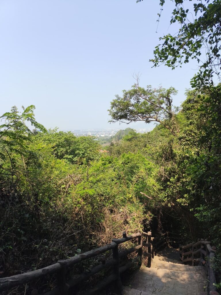 View of mostly tree tops