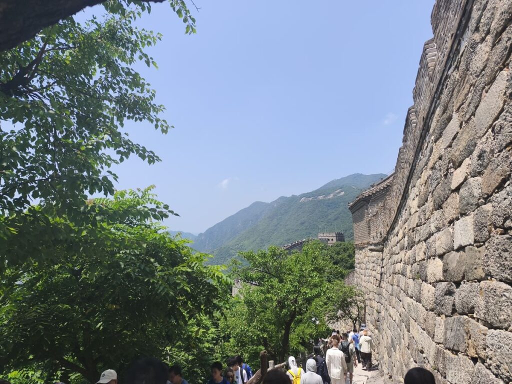 Wall seen from outside