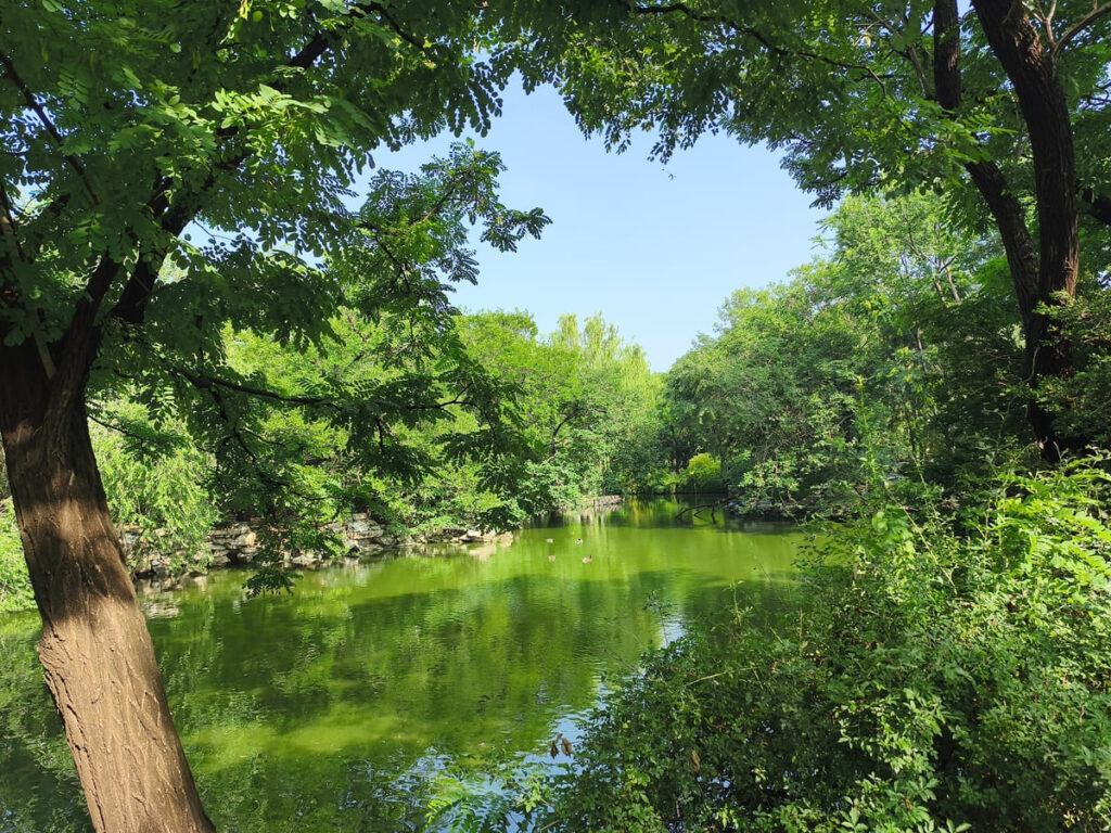 Lake at Beijing Zoo