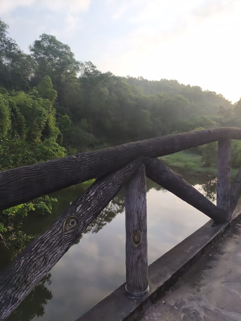Bridge in morning mist