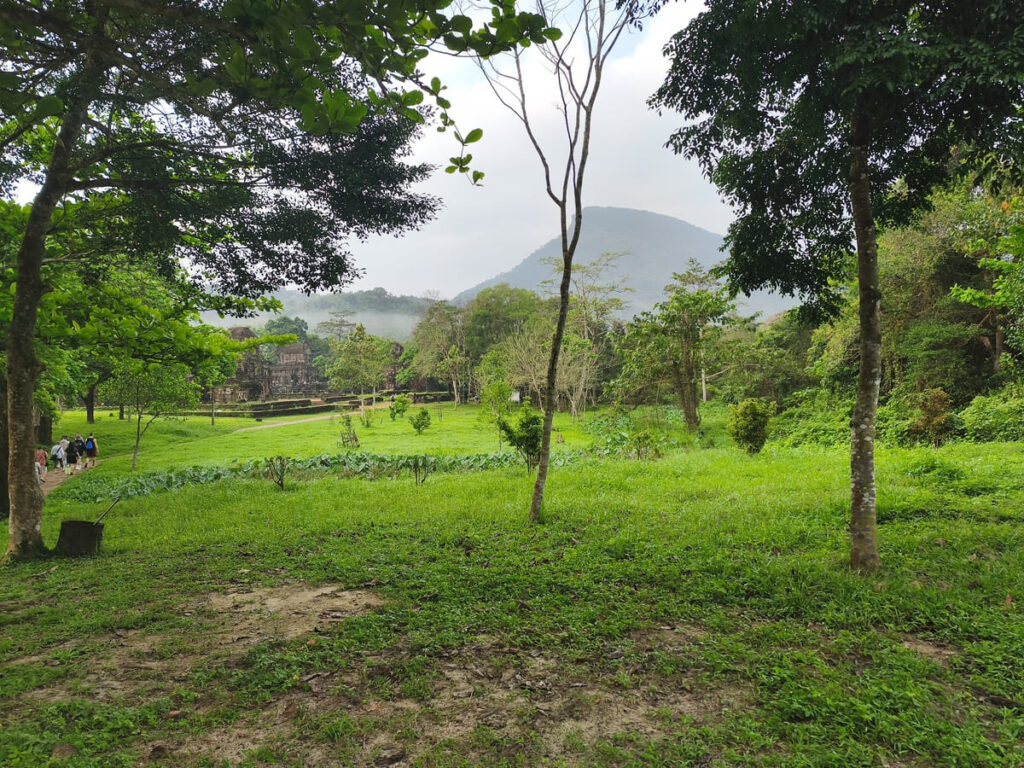 Jungle setting with mountain in background