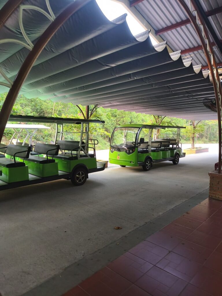 Small, golf-cart like vehicles at My Son