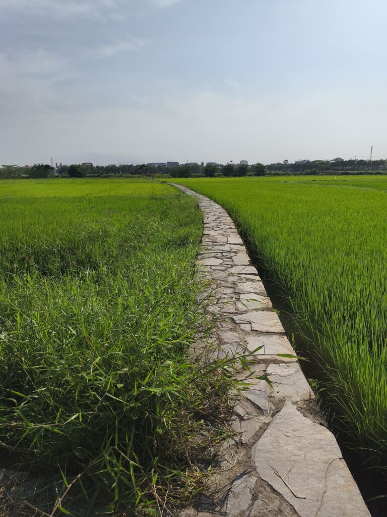 Narrow stone path towards tomb