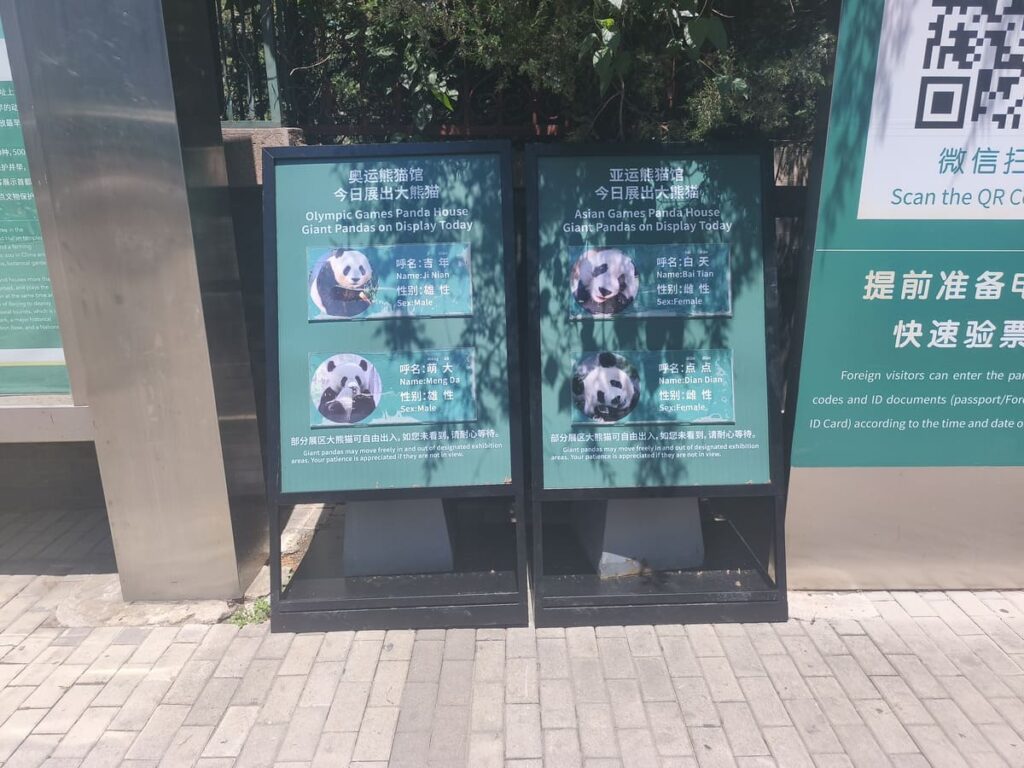 Signs stating which pandas are on display