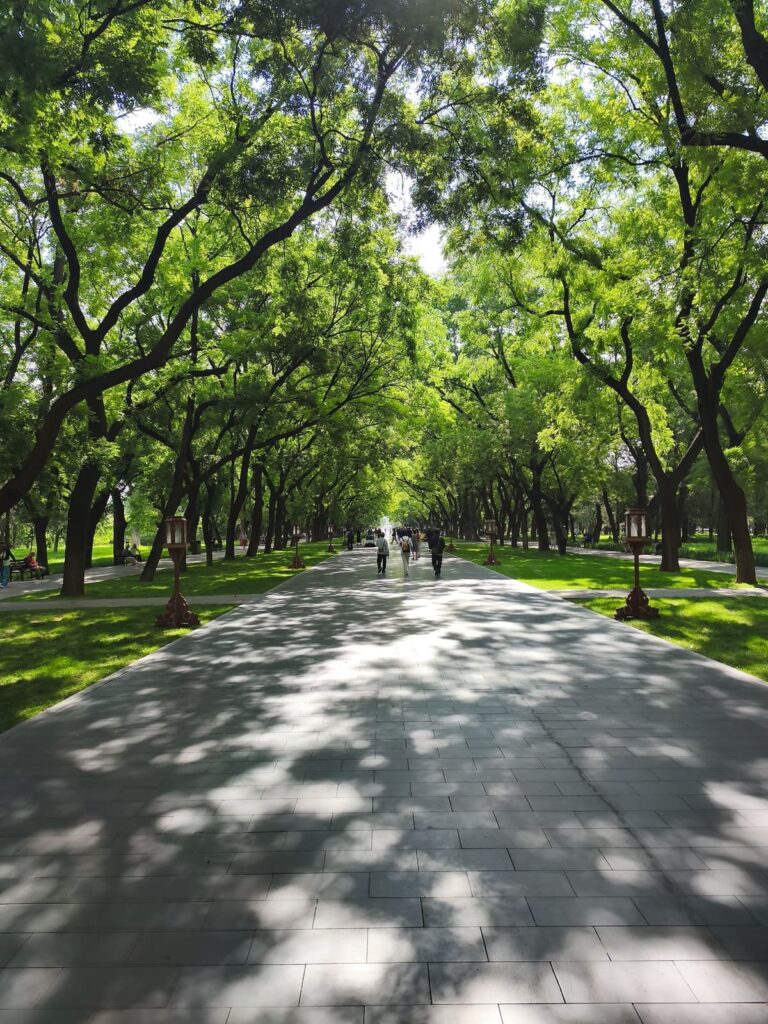 Wide Path at Temple of Heaven