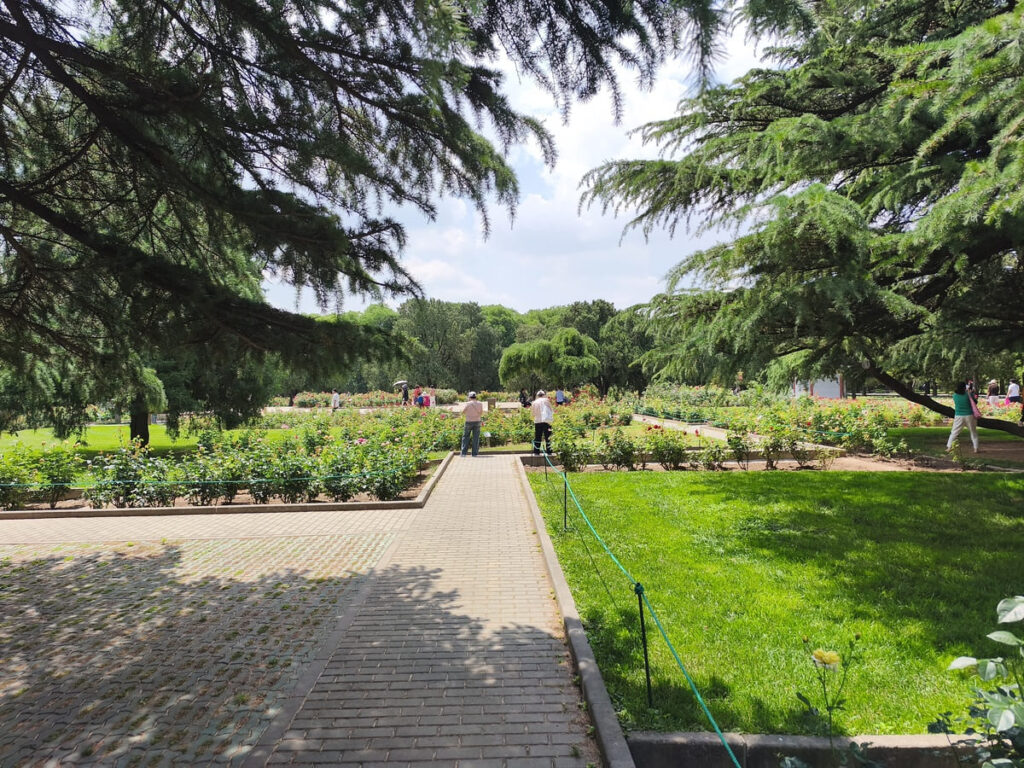 Rose garden and manicured paths
