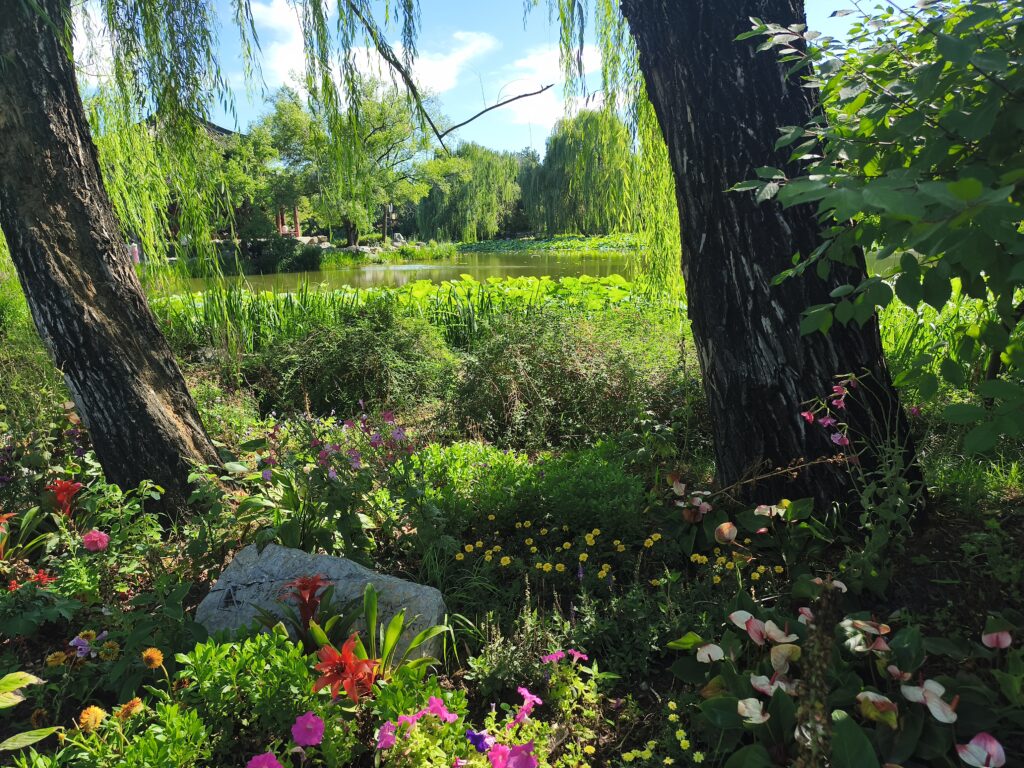 Nature at the Old Summer Palace