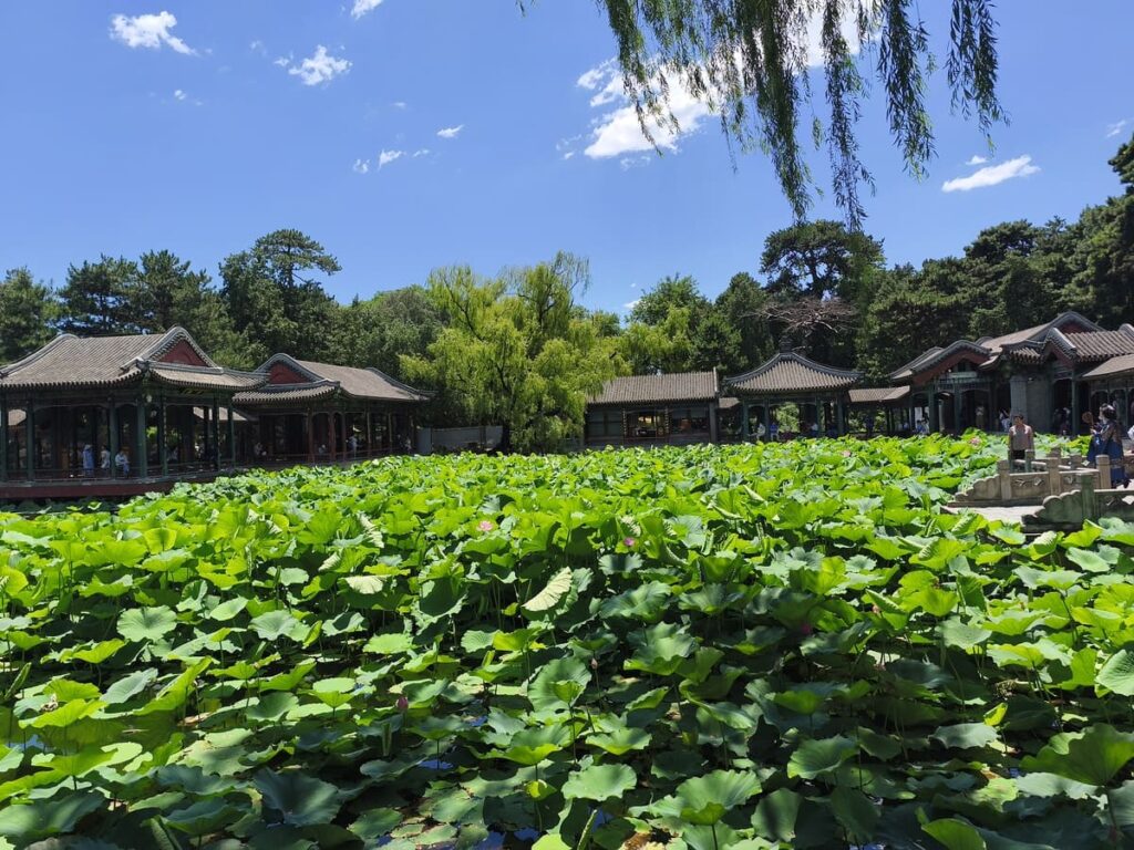 Garden with pond and plants at New Summer Palaze