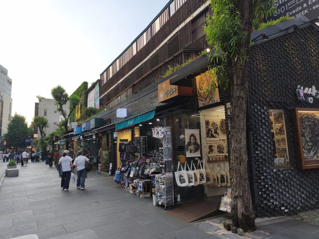 Shopping Street in Insangdong