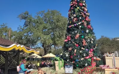 CAN YOU GUESS THE DISNEY RESORT BASED ON ITS XMAS TREE?