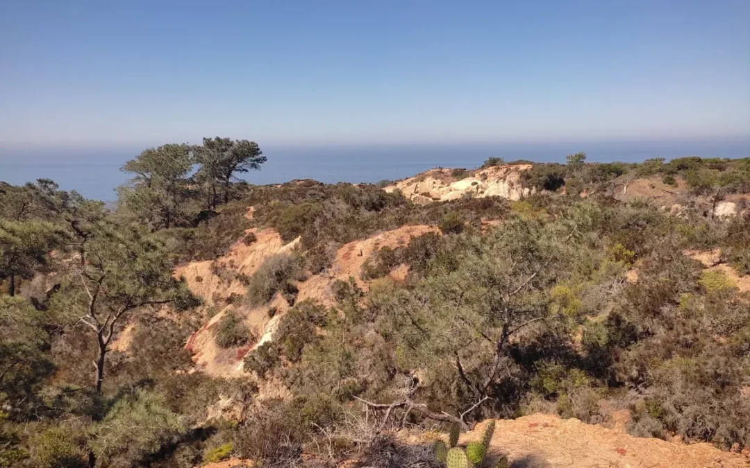 TORREY PINES STATE NATURAL RESERVE – AN EASY HIKE IN THE WILDERNESS
